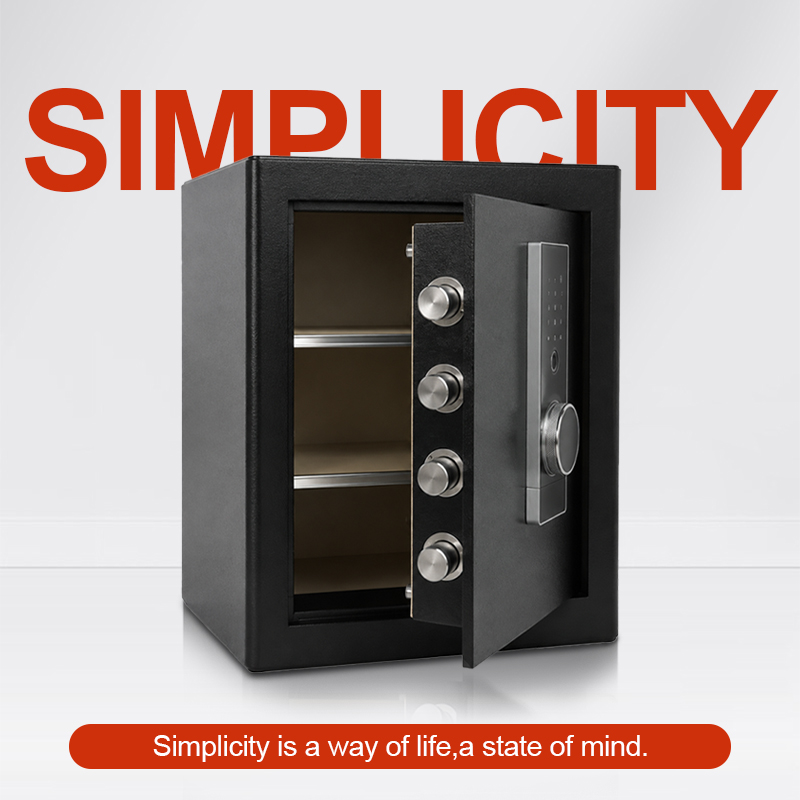 Biometric Fingerprint Safe Box - đánh giá và giá Home Security Box